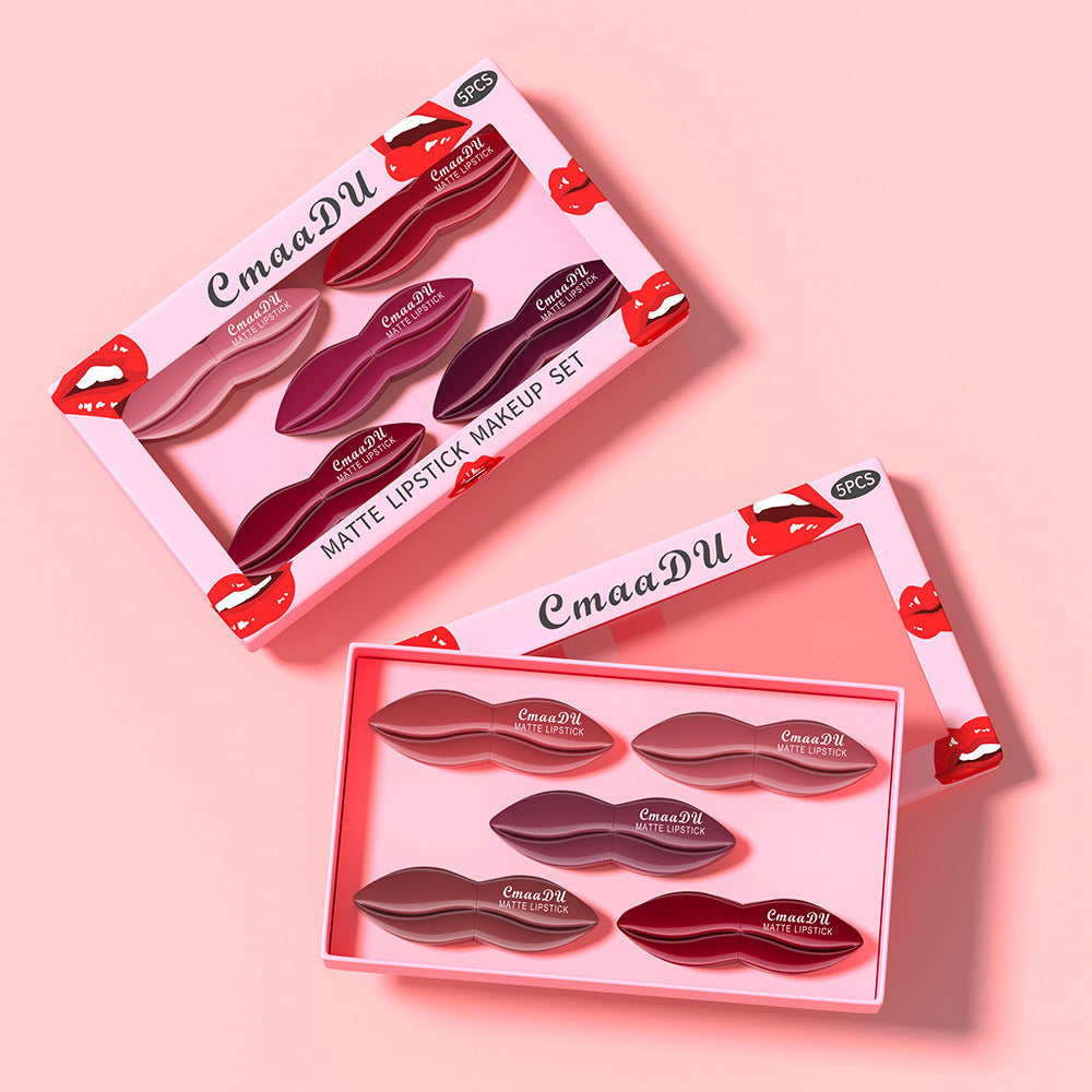 Matte Lipstick Set - Versatile & Easy to Apply, 5-Piece