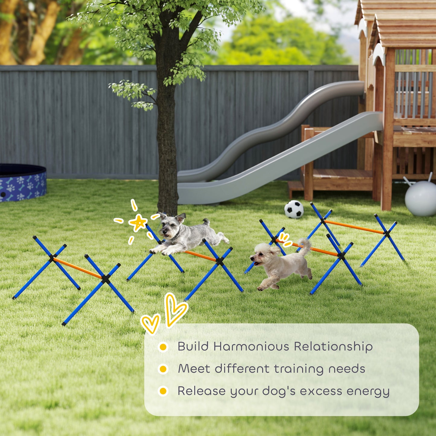 Dog Agility Course Set with Adjustable Jump Bars & Carry Bag - Backyard Training Equipment