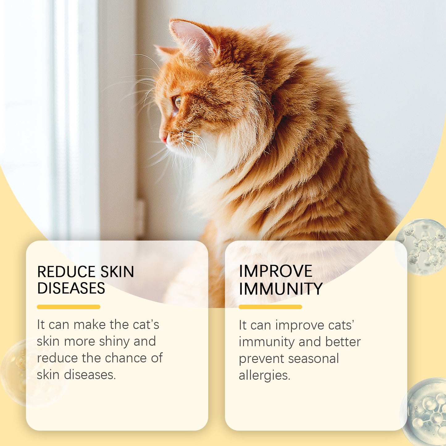 Fish Oil Tablets for Cats - Multivitamin Skin & Coat Supplement, Supports Immune, Heart & Bone Health - 60 Chewable