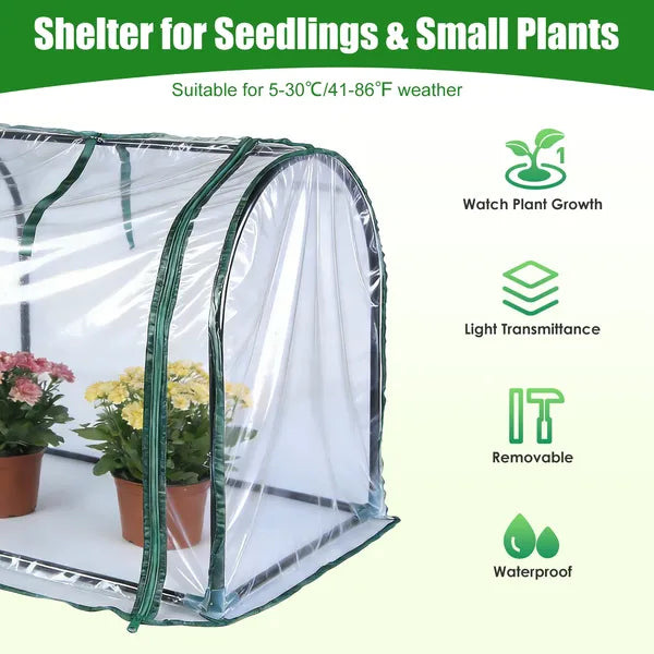 Tabletop Mini Greenhouse - Portable Plant Protection Tent