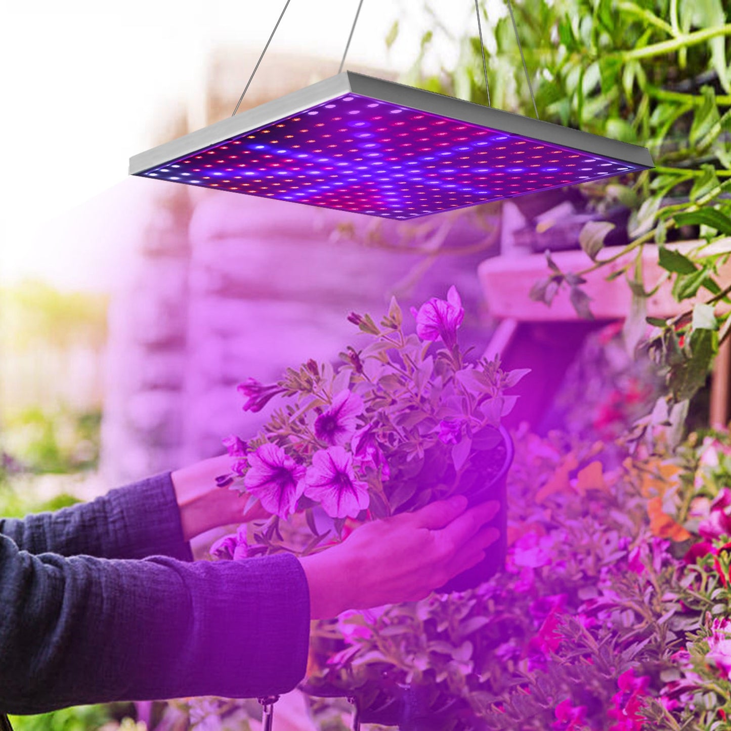 Full Spectrum LED Grow Light - 225 LEDs Indoor Plant Lamp for Herbs Vegetables & Flowers