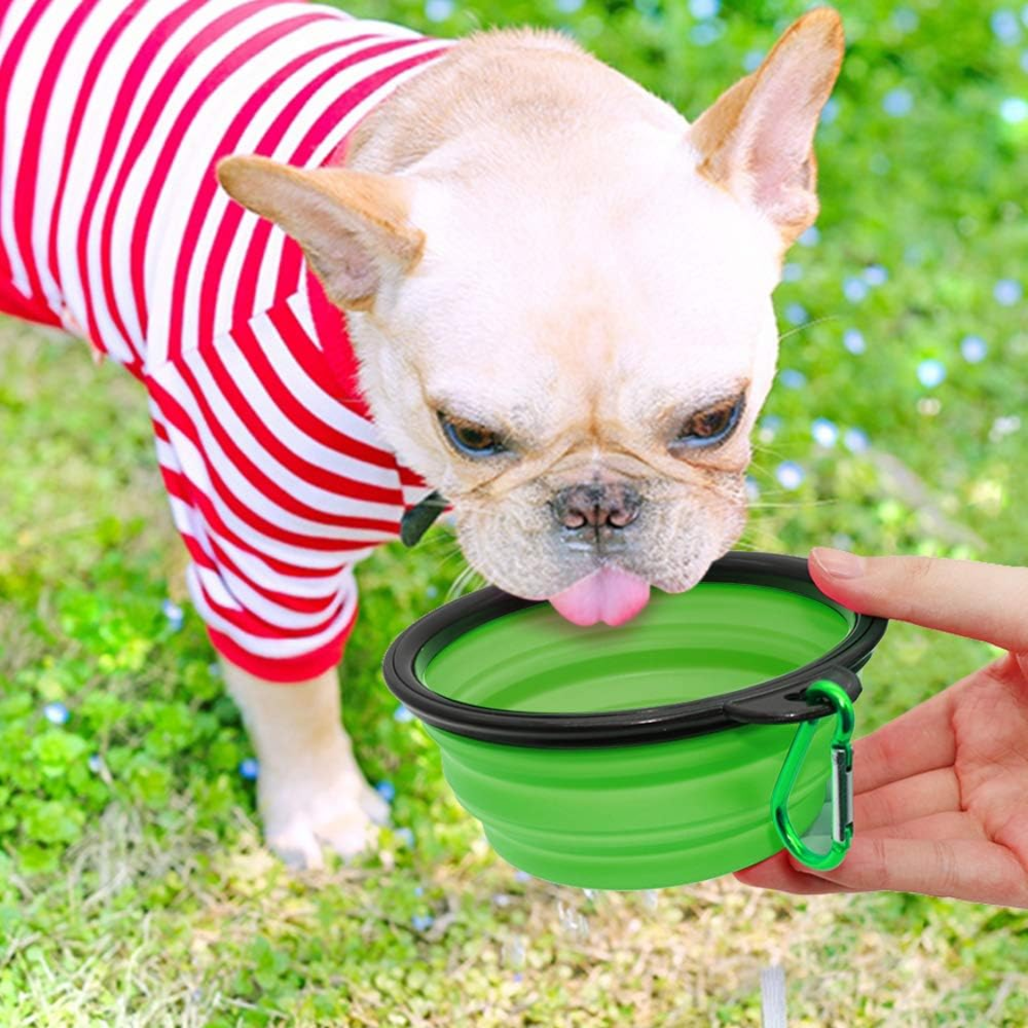 Collapsible Pet Bowl Set for Dogs and Cats - Travel Water & Food Bowls with Carabiners - Multicolor 2 Pack