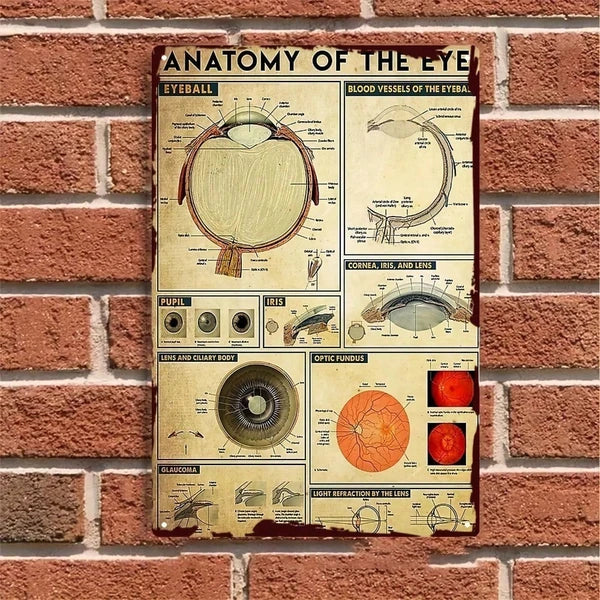 Metal Tin Sign Wall Decoration - 20 cm x 20 cm
