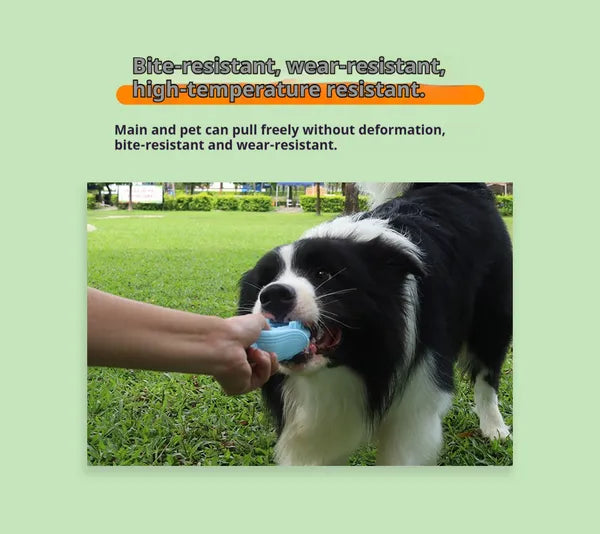 Dog Chew Toy with Corn Shape for Small to Large Breeds - Durable Silicone Teether