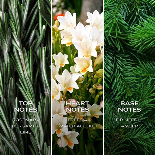 Intelligent Iron Eau de Parfum | Cologne for Men | | Magnetic, Masculine, and Timeless | 3.4 Fl Oz (100 mL)