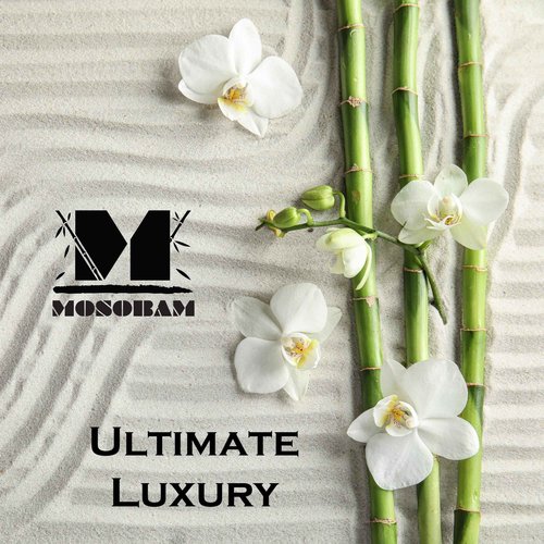 Mosobam Luxury Turkish Towels Set of 12 Washcloths 13X13 Seagrass Green 700 GSM Bamboo Viscose & Aegean Turkish Combed Cotton