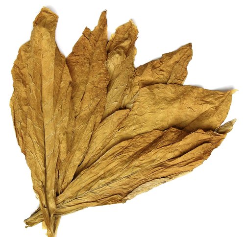 Castile Liquid Body Wash for Sensitive Skin – Natural Shampoo for Men with Olive Oil, Cocoa Butter & Coconut Oil – Tobacco Vanilla by Carolina Castile (Tobacco Vanilla, 1 Gallon)