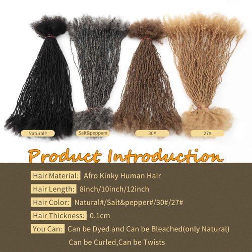 EV&ET Micro Dreadlock Extensions Human Hair,0.2cm Width Afro Kinky Micro Locs Extensions,Can Be Bleached Curled Twisted (#27 40pieces, 12inch 0.2cm)