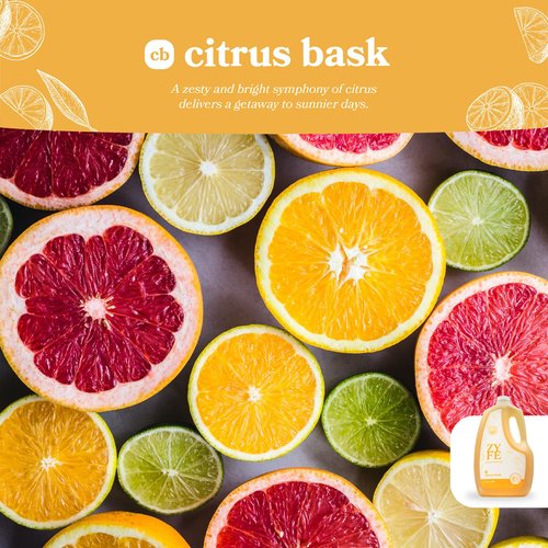 ZYFE foam soap refill