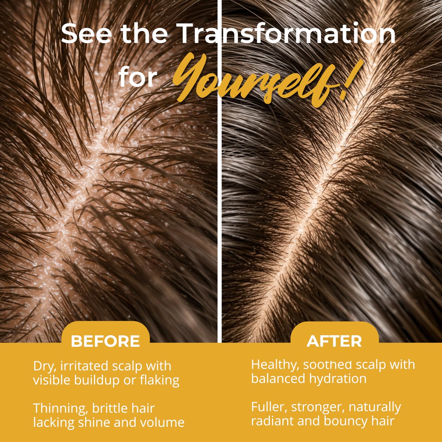 Moroccan Oil Hair Care Trio – Premium 3-Step Argan Oil Hair Treatment Kit for Scalp & Follicle Health – Herbal Shampoo, Leave-In Rinse & 30+ Botanicals – Sulfate-Free, Dermatologist Approved