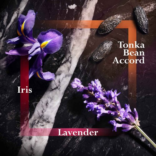 JOOP! Homme Le Parfum for Men, 2.5 fl oz.