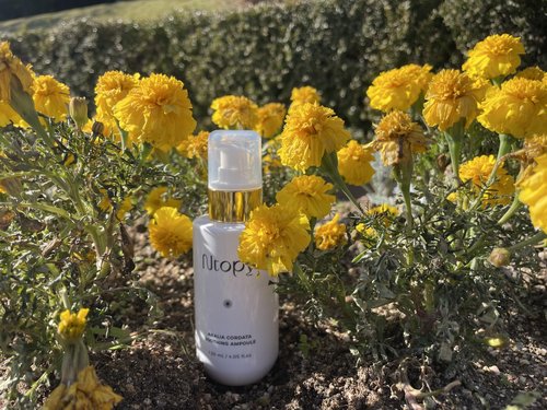 N.Bios Ntopy Aralia Cordata Soothing Ampoule - Korean Ampoule for Face, Moisture Ampoule, Ultimate Calming for sensitive skin, 4.05 oz