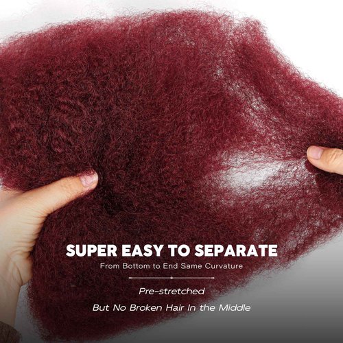 BLL Afro Kinkys Bulk Human Hair-100% Human Hair for Mini Twist Braiding Dreadlock Loc Extensions Afro Kinky Curly Hair Bulk Black Color (99J, 22 Inch Pack Of 1)