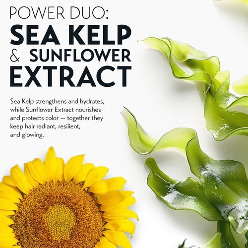 OYA Care Conditioner for Color-Treated Hair – Hydrating & Moisturizing Conditioner for Women & Men – Reduces Frizz, Strengthens Dry & Damaged Hair – For Fine, Thin, Wavy & Frizzy – 1L / 33.8 fl. oz.