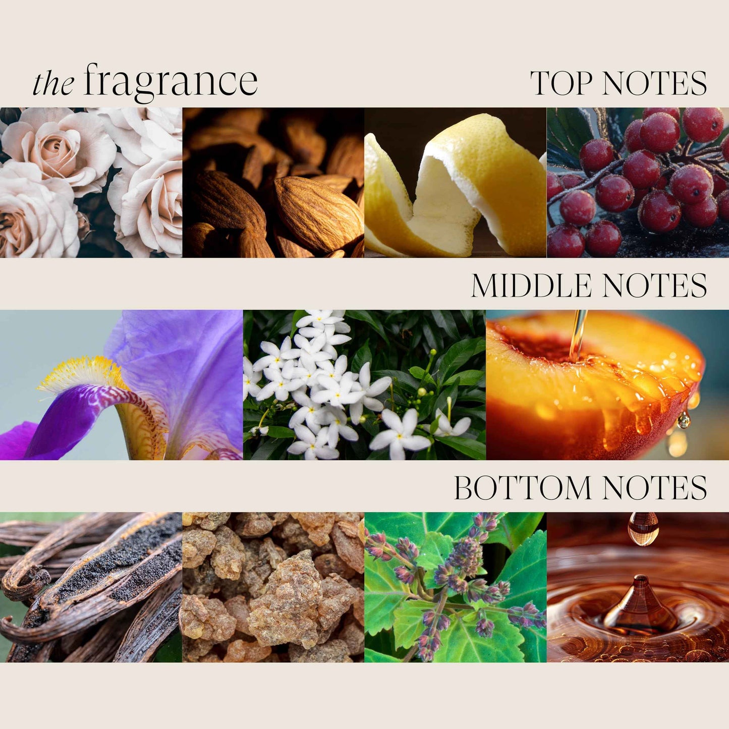 L'ANZA Keratin Healing Oil Hair Treatment, Hair Oil Revives & Nourishes Dry Damaged Hair & Scalp, Sulfate Free with Phyto IV Complex, Cruelty Free Volumizing Hair Care with UV Protection (6.2 Fl Oz)