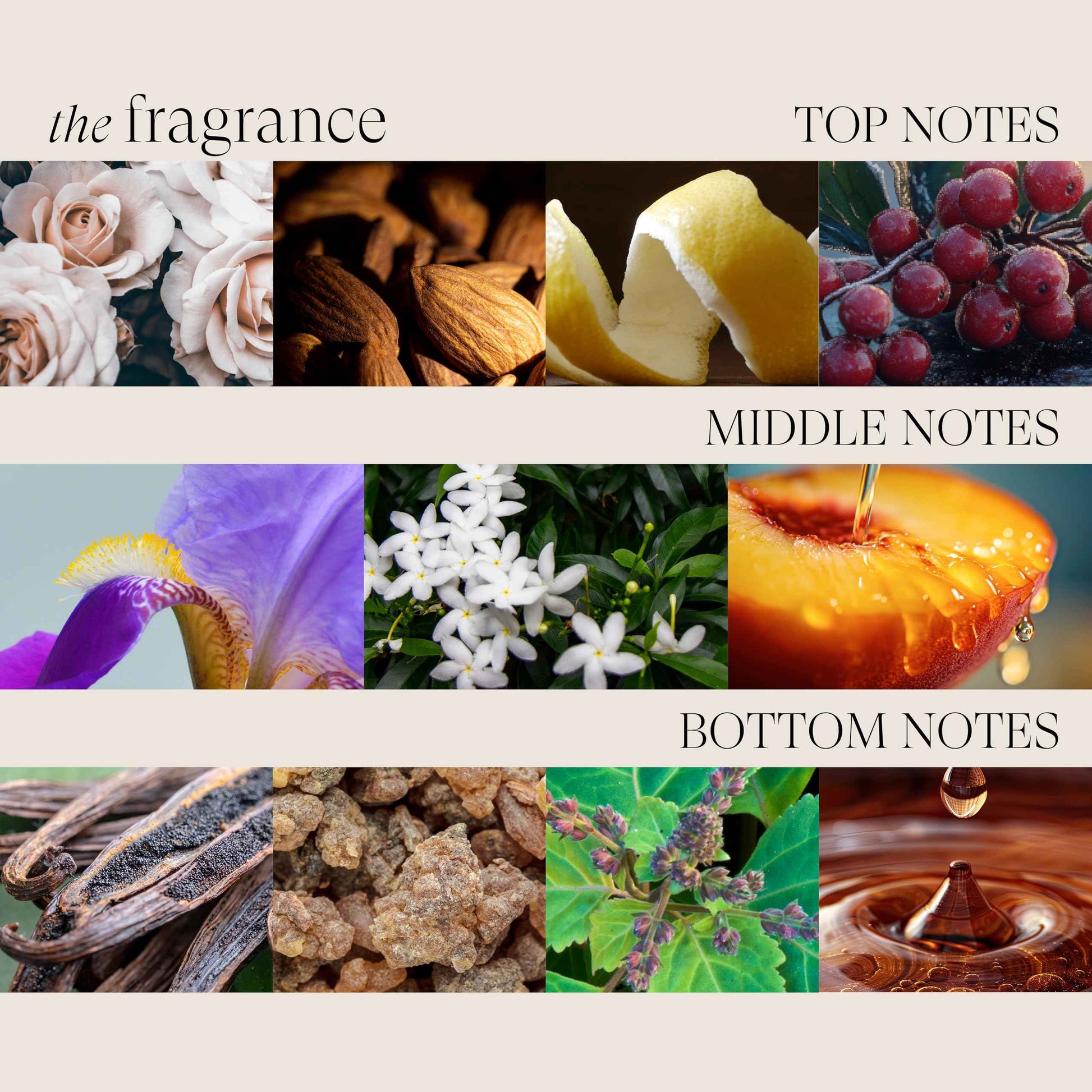 L'ANZA Keratin Healing Oil Hair Treatment, Hair Oil Revives & Nourishes Dry Damaged Hair & Scalp, Sulfate Free with Phyto IV Complex, Cruelty Free Volumizing Hair Care with UV Protection (6.2 Fl Oz)