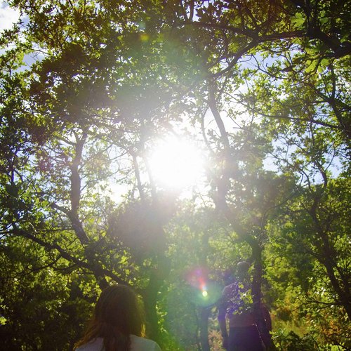 Shwally Tallow & Methylene Blue Anti-Aging Face Moisturizer – With Vitamin C, CoQ10 & Squalane – Minimizes wrinkles & Improves Collagen Production (2 Oz, Not Scented)