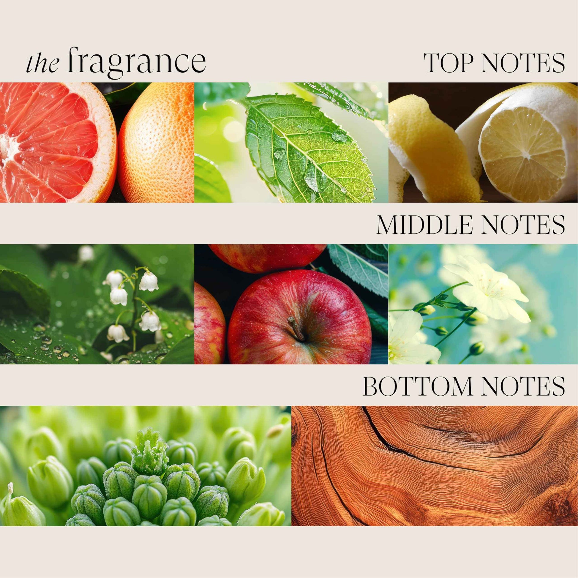 L'ANZA Healing Volume Thickening Shampoo, Boosts Shine, Volume, and Thickness for Fine and Flat Hair, Rich with Bamboo Bodifying Complex and Keratin (33.79 Fl Oz)