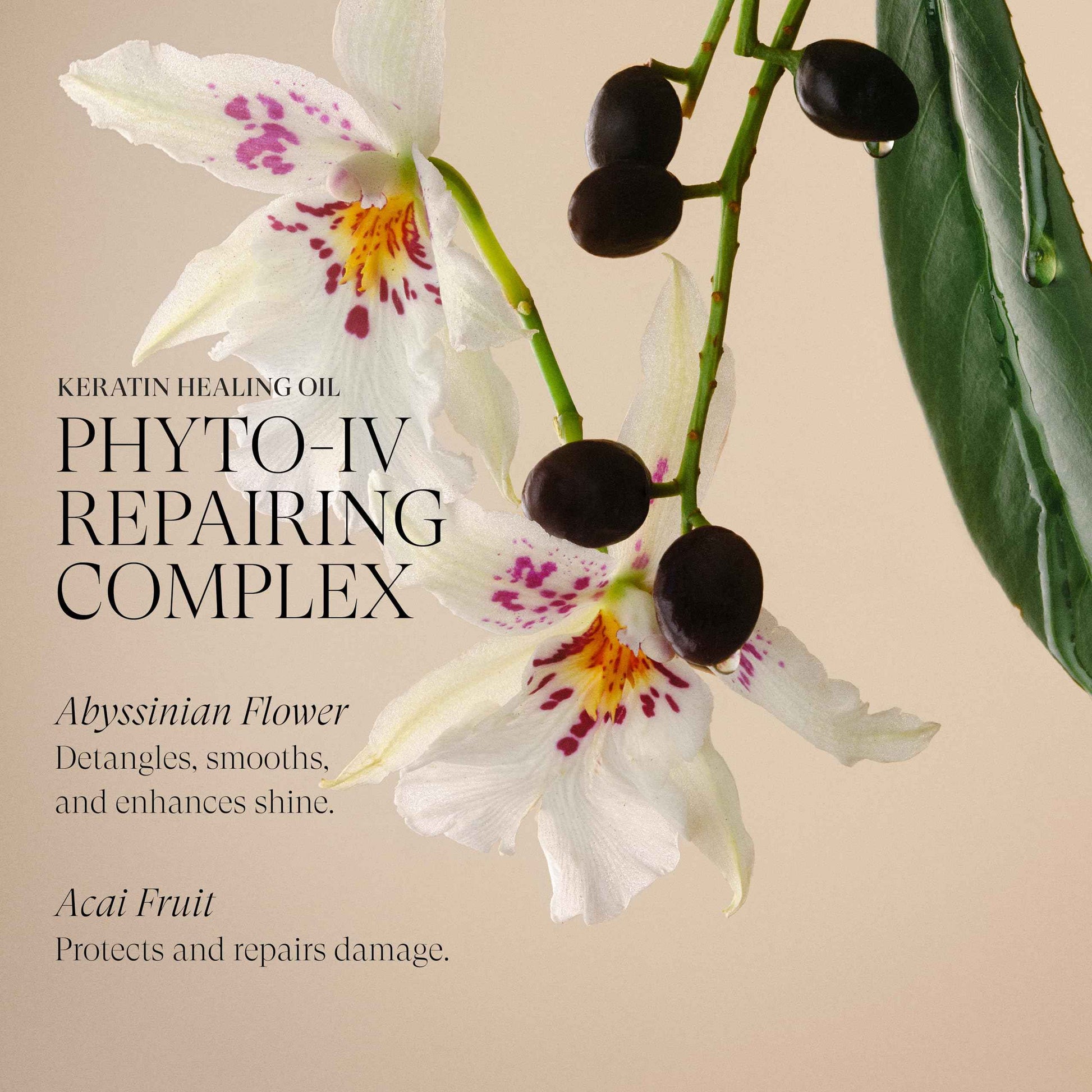 L'ANZA Keratin Healing Oil Conditioner for Dry Damaged Hair, Moisturizing, Detangles, Reduces Breakage, Adds Shine, Anti-Frizz, Color Safe Anti-Humidity Strengthening Care, Sulfate Free (32 Fl Oz)