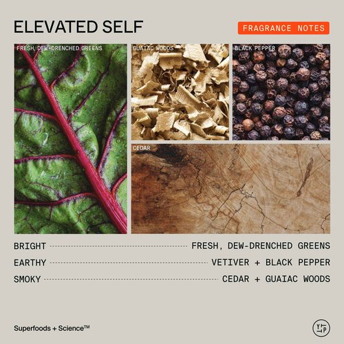 Youth To The People Superfood Cleanser Duo, Vegan Skincare Bundle Set for Face and Body, Kale + Green Tea Facial Cleanser (8 fl oz) + Body Wash (16.4 fl oz)