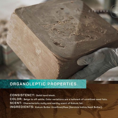 ETHERVA Raw Kokum Butter | Truly Raw Unrefined | Non-Deodorized & Unbleached | Strong Natural Scent | Hard Block | Wild Grown Organic | Bulk DIY Soap Making | Thickener for Skin, Body & Hair | 11 lb