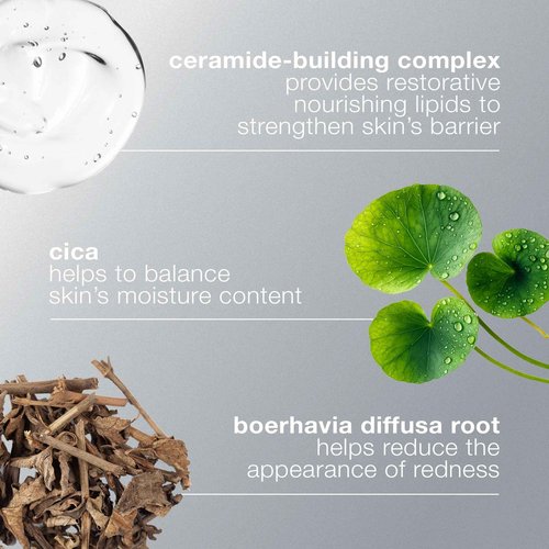 Dermalogica Stabilizing Repair Cream, Face Moisturizer for Sensitive Skin with Cica - Strengthens, Soothes, and Repairs Skin Barrier, 1.7 fl oz