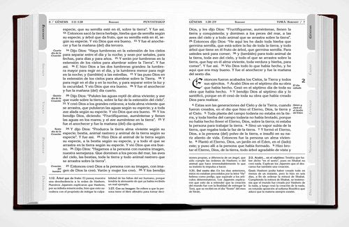 La Biblia Hebrea Completa - Tanaj Judio - Incluye Tora, Profetas y Escritos (Spanish Edition)