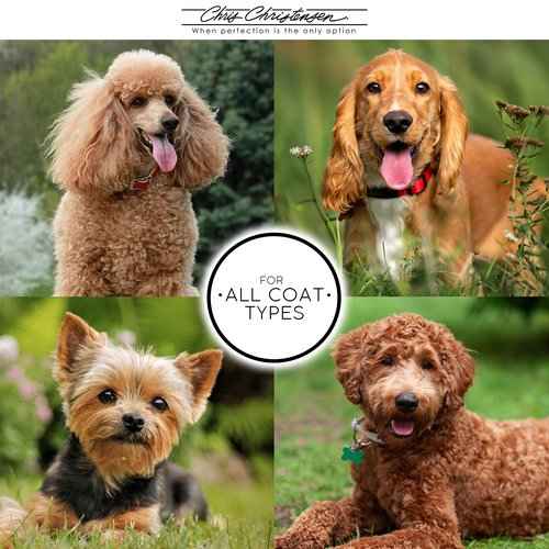 Chris Christensen Shampoo & Conditioner 16 oz Bundle - White on White Shampoo + Ice on Ice Detangling Conditioner + Ice on Ice Detangling/Finishing Spray, Groom Like a Professional, Made in USA