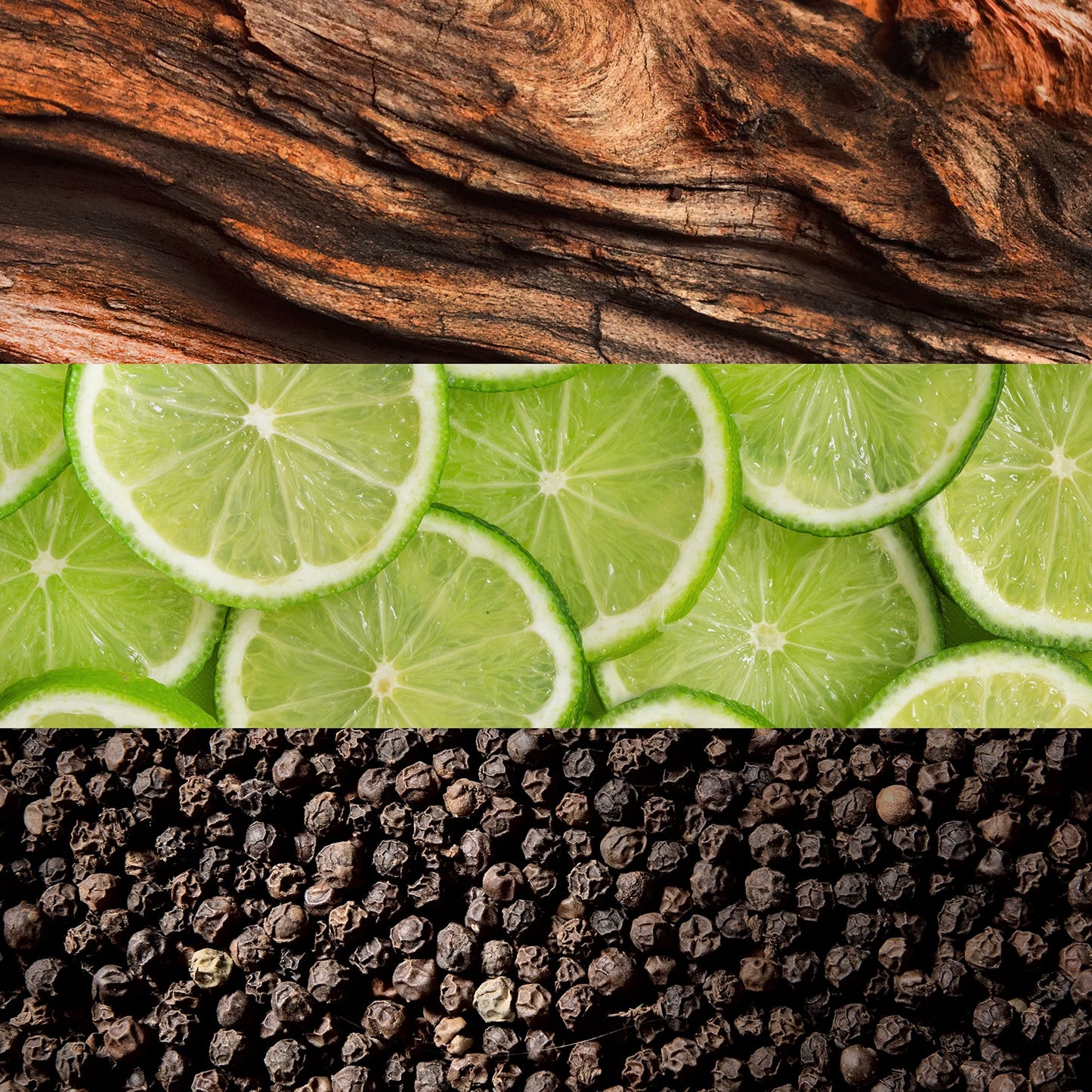 LACOSTE ESSENTIAL EDT 75ML