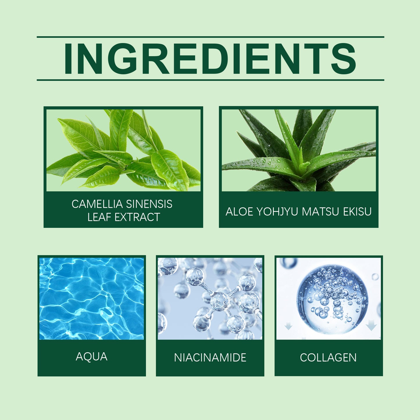 Collagen Body Moisturizer Cream - Hydrating Skin Care with Tea & Aloe Vera