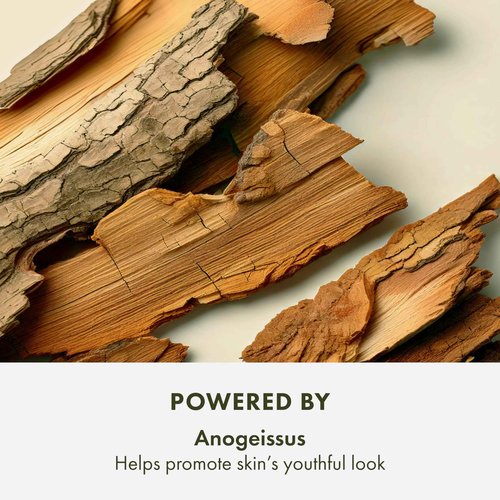 Origins Plantscription Anti-Aging Power Night Cream | Visibly Reduces Fine Lines and Visibly Lifts Skin, 1.7 Fl Oz