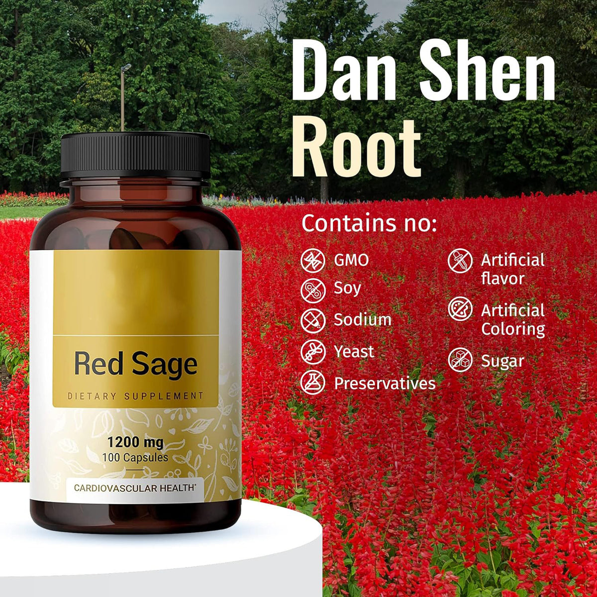Salvia Miltiorrhiza Red Ginseng Capsule Supplement - 100 Tablets