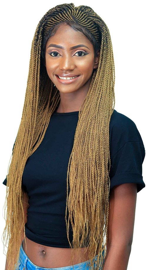 Wow Braids 36" Full 360 HD Transparent Lace Front Jumbo Passion Twist Braided Wig with Baby Hair - Synthetic hand-made box braids wig for black women.
