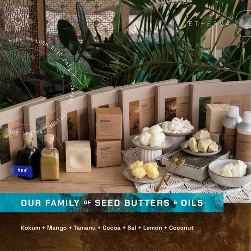 ETHERVA Raw Kokum Butter | Truly Raw Unrefined | Non-Deodorized & Unbleached | Strong Natural Scent | Hard Block | Wild Grown Organic | Bulk DIY Soap Making | Thickener for Skin, Body & Hair | 11 lb