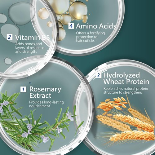 SH-RD Nutra-Therapy Shampoo for Dry Damaged Hair | Protein Shampoo Reduces Split Ends | Moisturizes Frizzy Hair | Suitable for Color-Treated, Bleached Hair - 33.8oz/1000ml