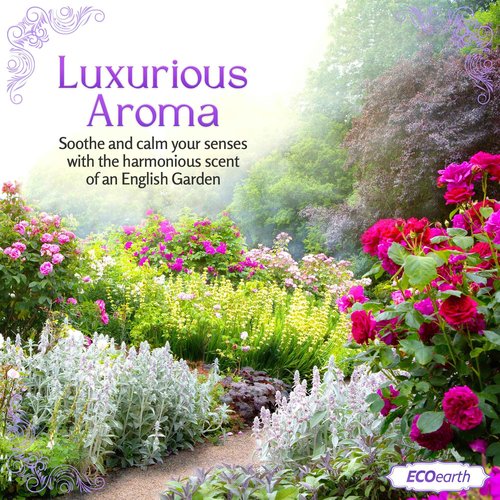 Luxury Travel and Hotel Amenities Set (1 Oz, 200 Pieces), Grade-A Guest Ingredients and Gift Packaging Toiletries, Includes 50 Round Soaps, 50 Shampoos, 50 Conditioners & 50 Lotions by EcoEarth