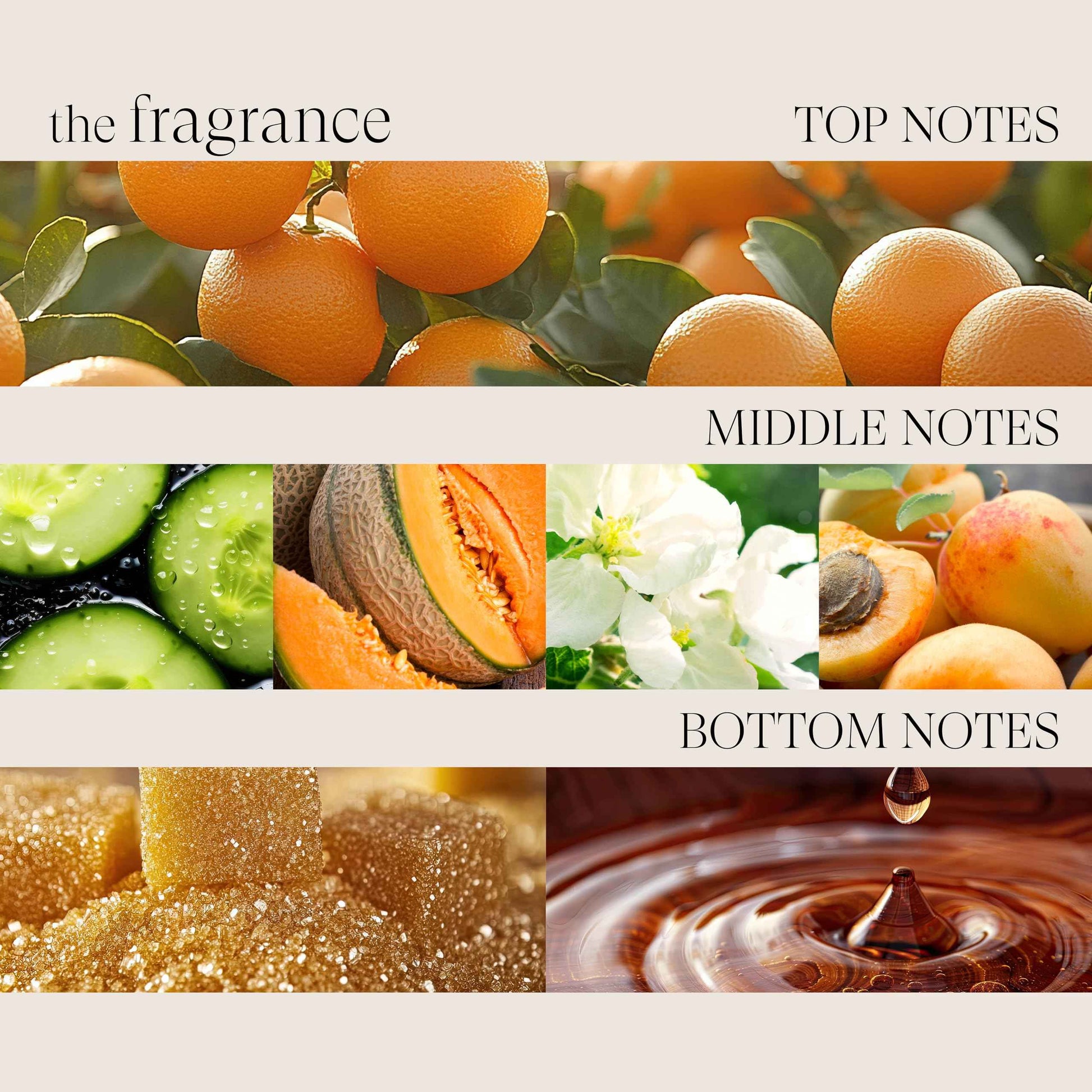 L'ANZA Healing Strength Shampoo For Dry, Damaged Hair, Daily Shampoo that Strengthens, Repairs Damage, Moisturizing, Boosts Shine, Gentle Cleanse, Color Safe Anti-Humidity, Sulfate Free (33.8 Fl Oz)