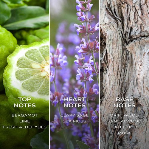 Intelligent Neon Eau de Parfum | Cologne for Men | Abstract, Artistic, Aldehydic | 3.4 Fl Oz (100 mL)