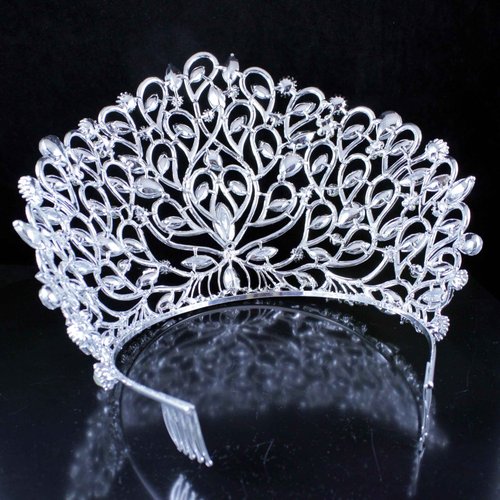 Janefashions Fancy Beauty Queen Crystal Rhinestone Tiara Crown With Hair Combs Wedding Bridal Beauty Contest Prom Pageant Silver Plated T994