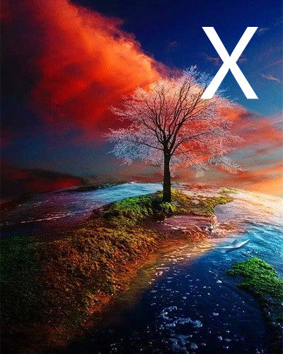 DIY Oil Painting Kit for Adults - Paint by Number Art Set, Multiple Sizes & Styles