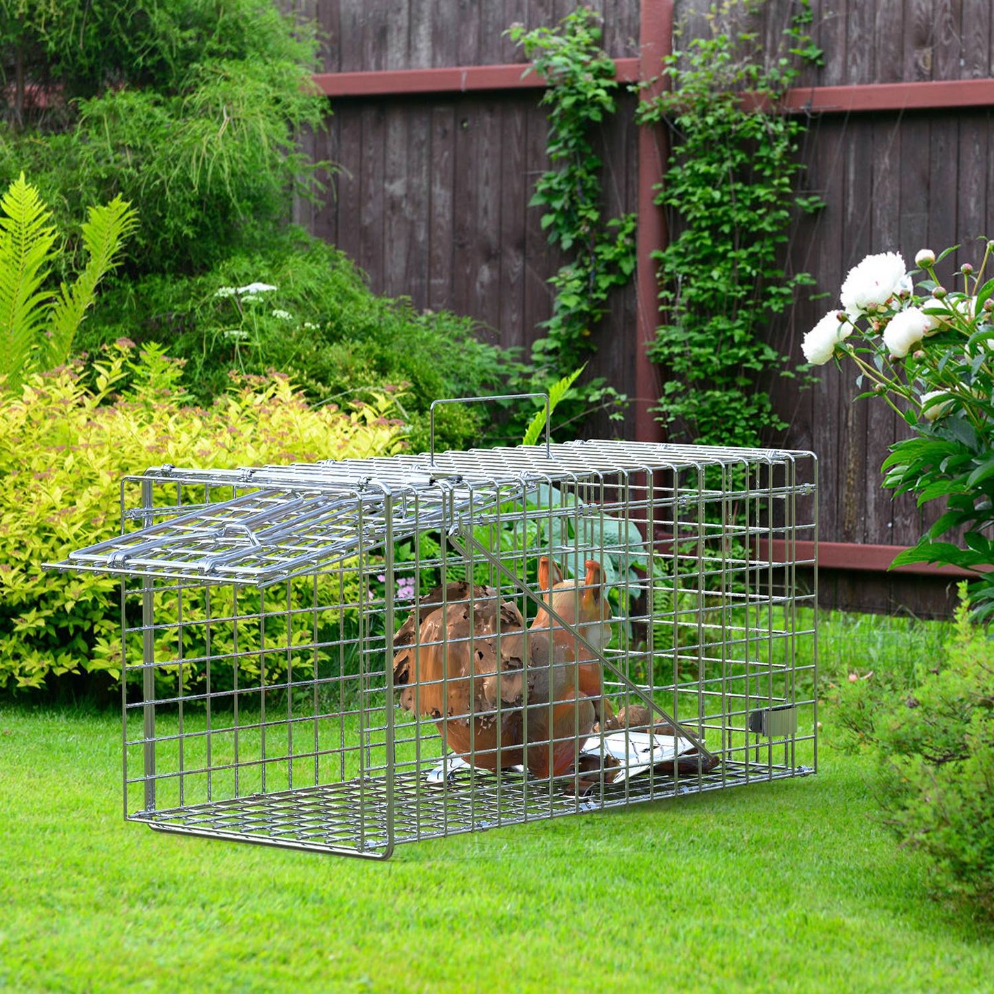 2-Pack Humane Live Animal Trap Cage 18x8x10 Inches for Small Animals