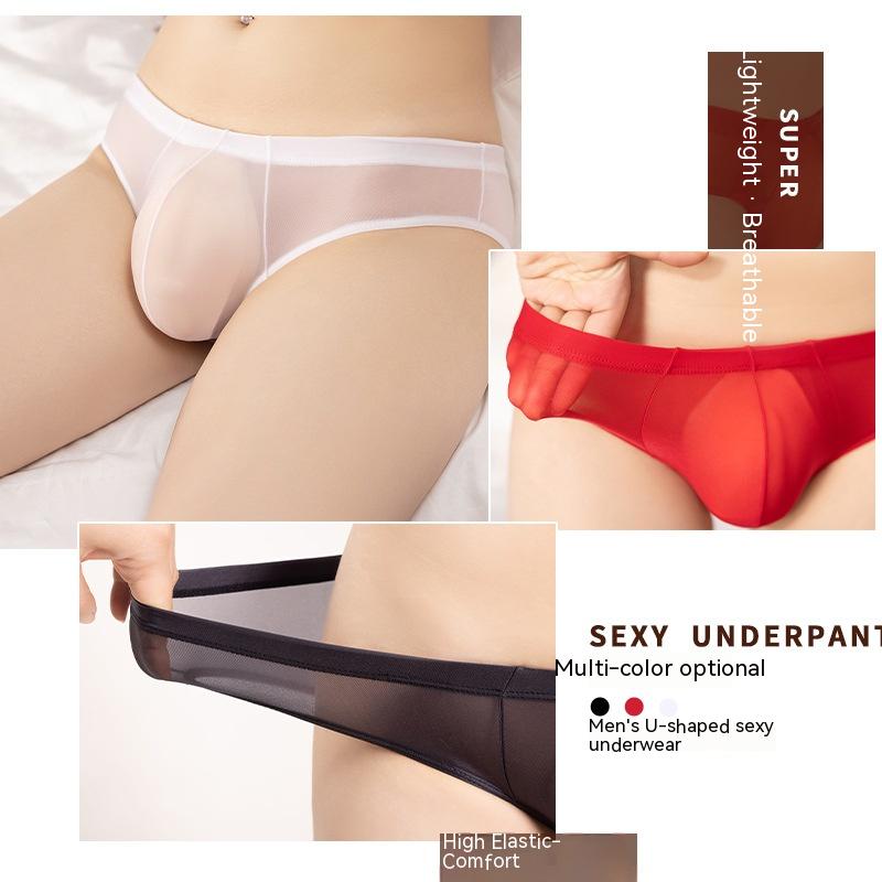 Men's Sheer Low Waist Mesh Panties - Ultra-Thin Nylon Underwear for Men