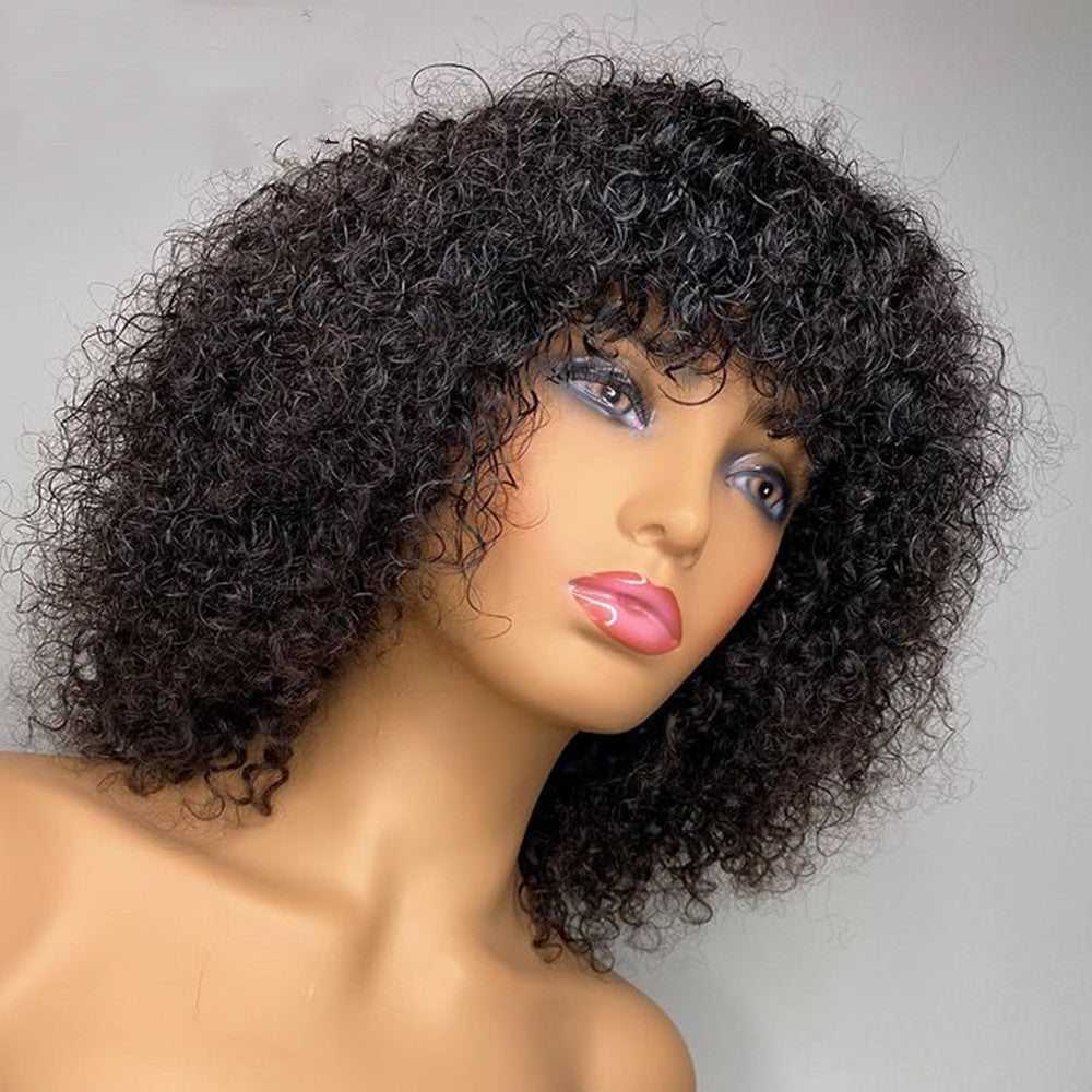 Ladies Short Curly Wigs with Long Hair - African Style Synthetic Wig
