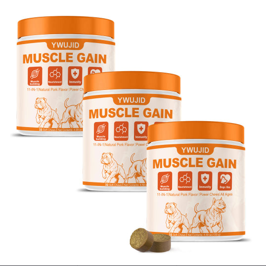 Pet Muscle Support Soft Chew Tablets for Active Pets — CJ