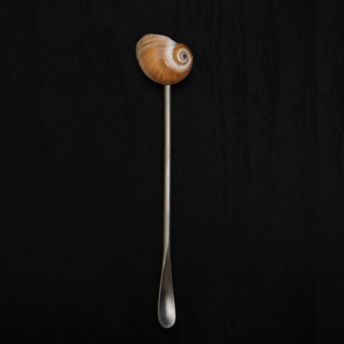 Conch Shell Glass Spoon for Wine Stirring - Creative Kitchen Utensil