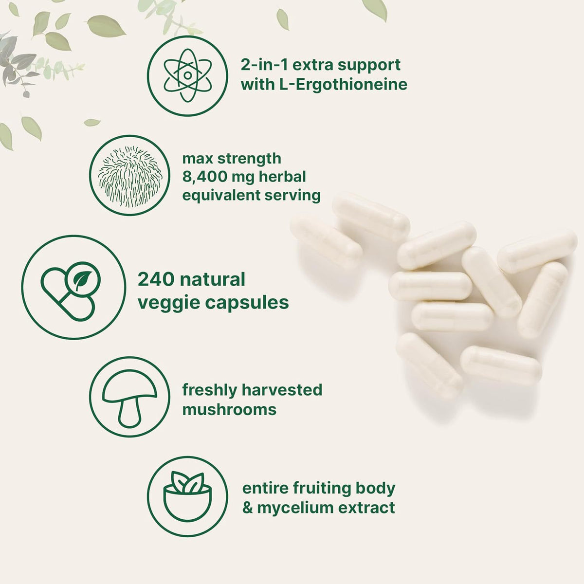 Lion Mane Capsule - 240 Tablets per Bottle