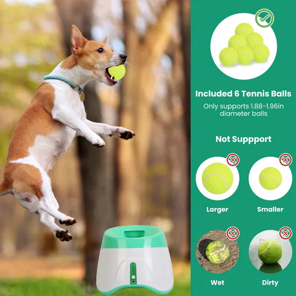 Pet Plush Toy Ball Launcher with 6 Tennis Balls for Small & Medium Dogs - Green