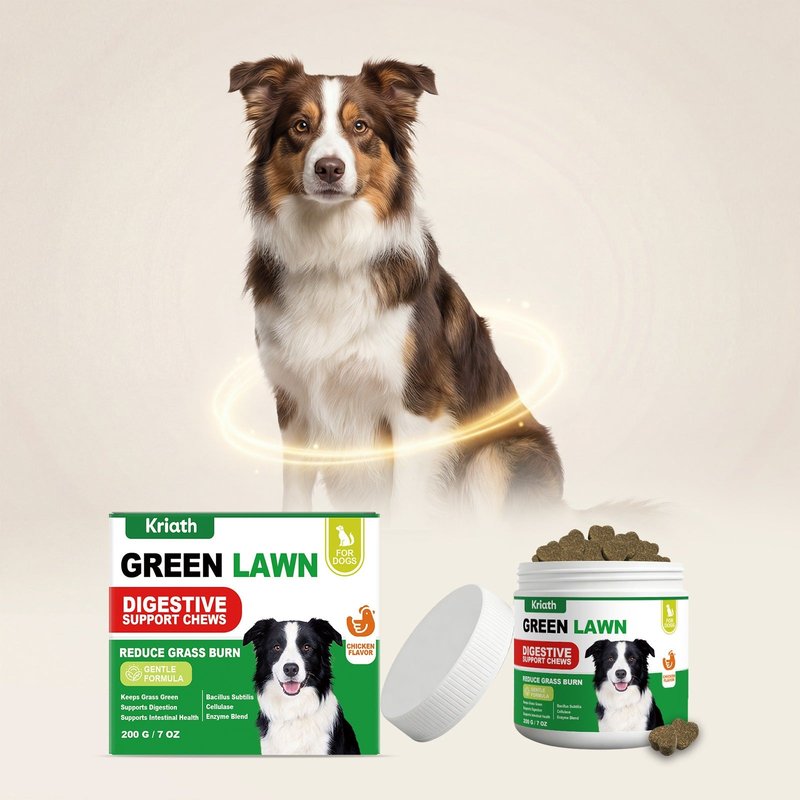 Dog Digestive Health Chewing Tablets - 200g