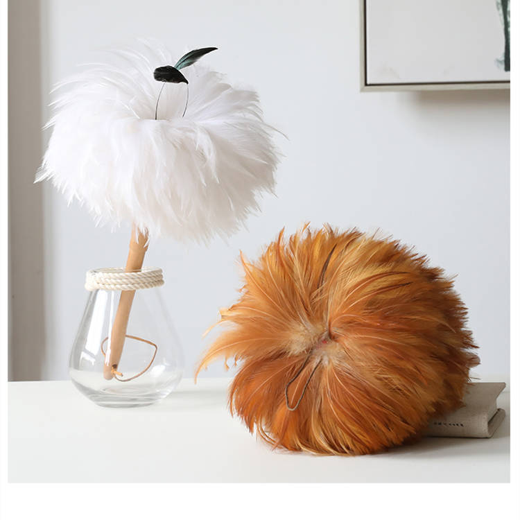 Feather Duster Household Cleaning Brush White Beech Handle Japanese Style
