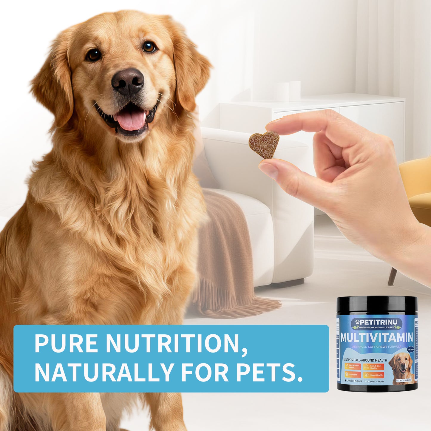 Dog Multivitamin Soft Chews - Chicken Flavor Supports Joint Skin Coat Gut Heart 120 Count